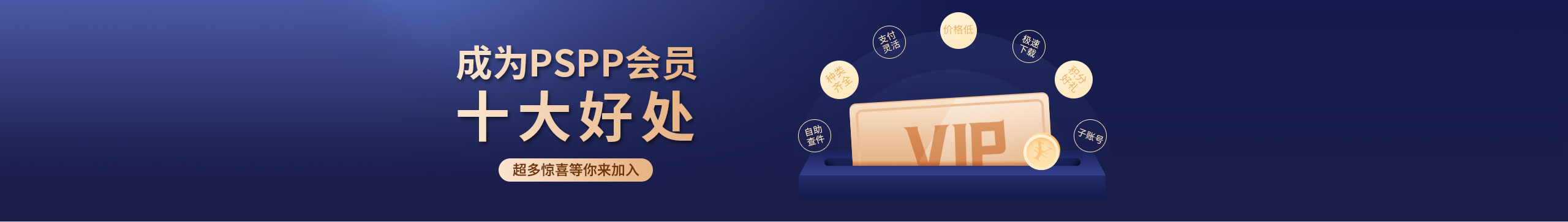 PSPP会员服务说明